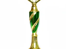 Taça de Portugal de Barcos Dragão 2013