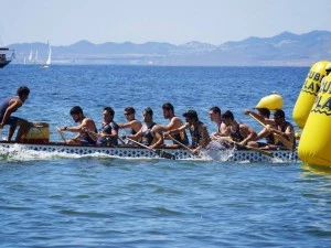 Festival San Pedro 2013