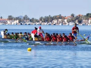 Festival San Pedro 2013